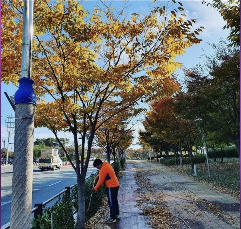 가을 가로수 조경 급수 지원